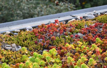 the cost of Acton Turville green roof installation